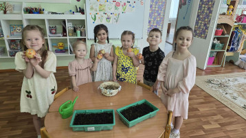 «Посадили мы лучок!».